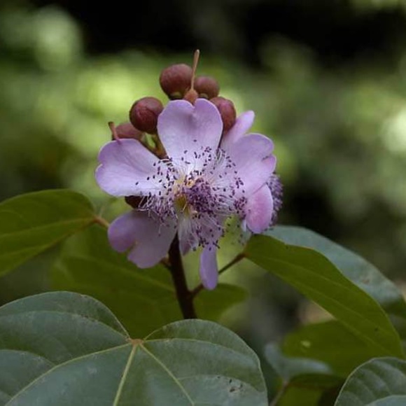 Meet your Posher, J - Picture 1 of 1